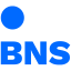 BNS logo